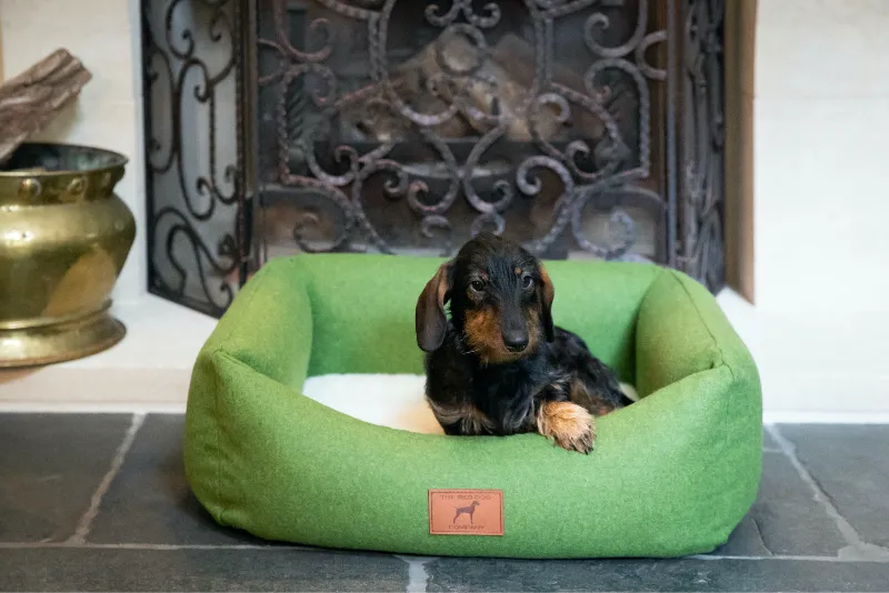 Apple Green Classic Dog Bed