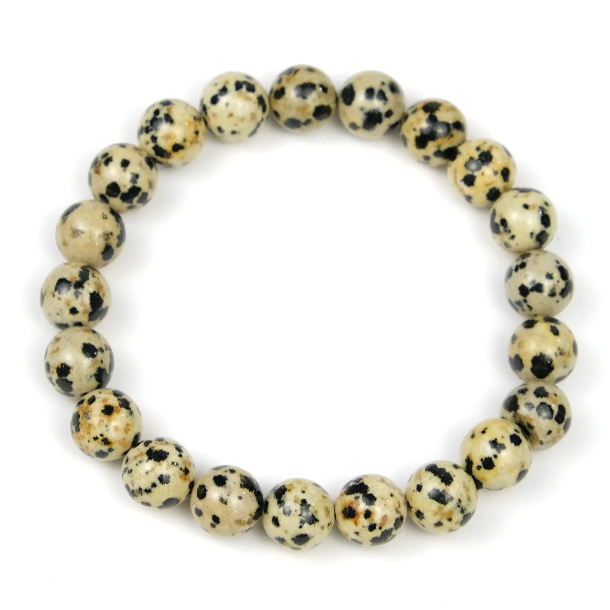 Dalmatian Jasper 10mm Rounds Stretch Bracelet