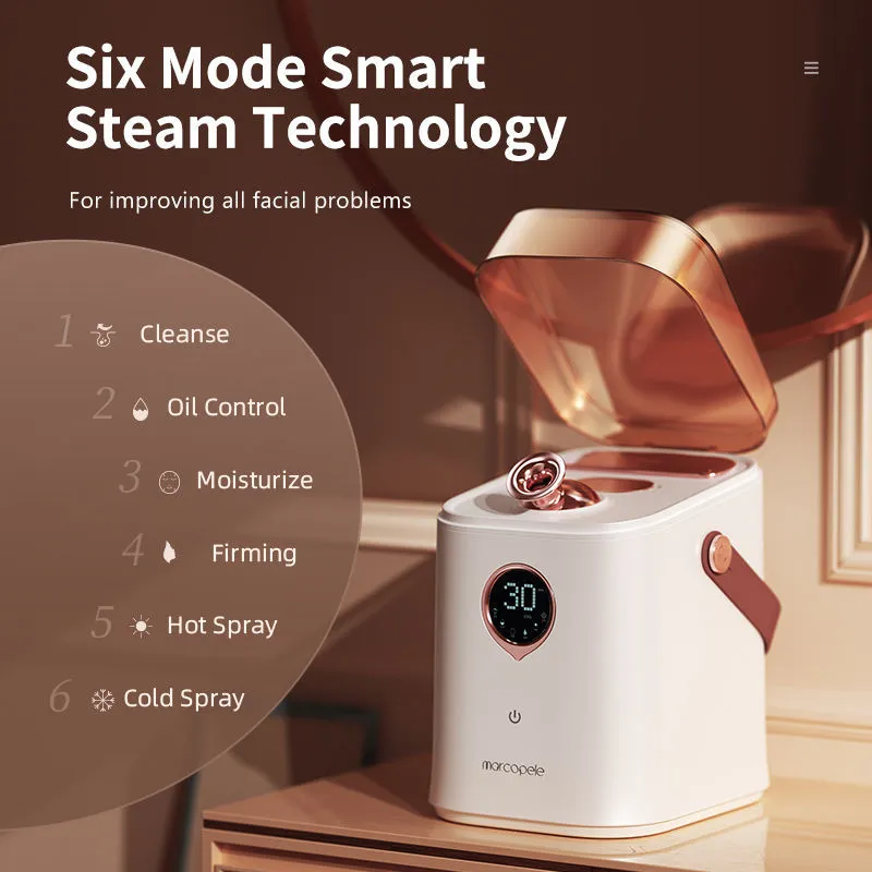 Hot And Cold Double Jet Face Steam Dispenser Water Replenishing Spray