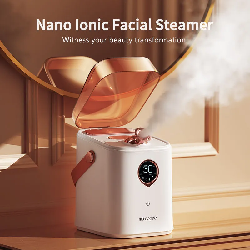 Hot And Cold Double Jet Face Steam Dispenser Water Replenishing Spray