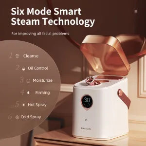 Hot And Cold Double Jet Face Steam Dispenser Water Replenishing Spray