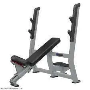 Nautilus Inspiration Incline Bench Press